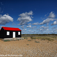 Buy canvas prints of Red Roofed Hut at Rye Harbour by John Gilham