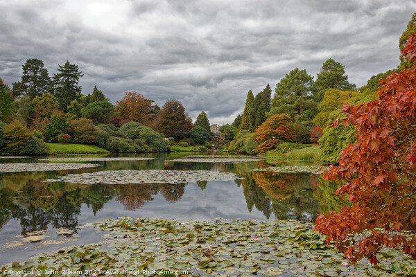 Sheffield park and gardens east Sussex Picture Board by John Gilham