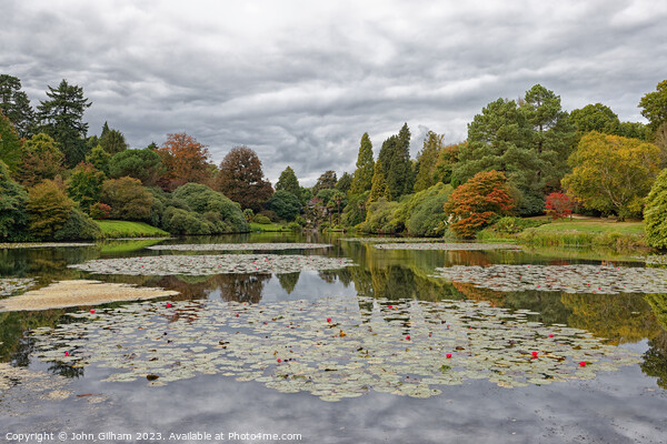The Lake at Sheffield Park Sussex Picture Board by John Gilham
