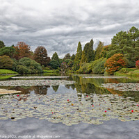Buy canvas prints of The Lake at Sheffield Park Sussex by John Gilham