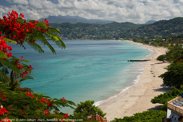 Grand Anse Beach St George Grenada The Caribbean Picture Board by John Gilham