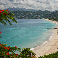 Buy canvas prints of Grand Anse Beach St George Grenada The Caribbean by John Gilham