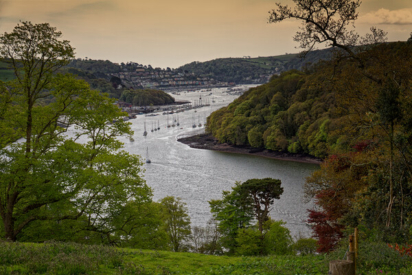 The River Dart at Dartmouth Devon UK with Kingswear in the distance.  Picture Board by John Gilham