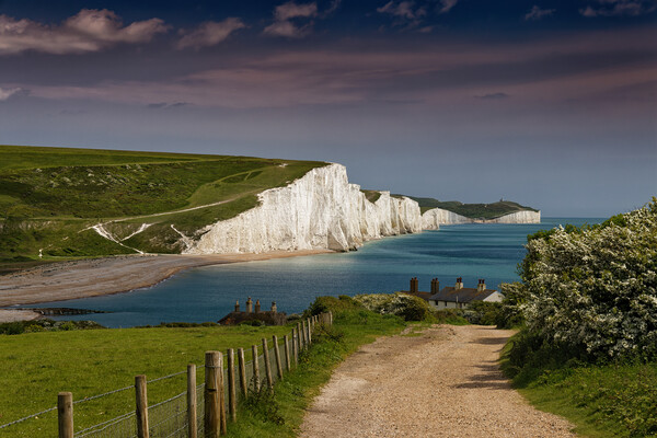 The Seven Sisters White Cliffs in East Sussex Picture Board by John Gilham