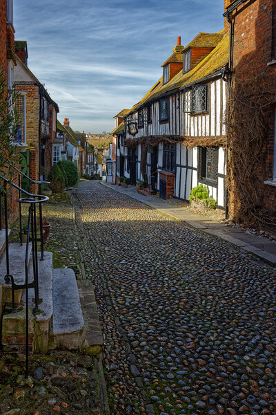 Outdoor narrow cobbled street in Rye Sussex UK Picture Board by John Gilham