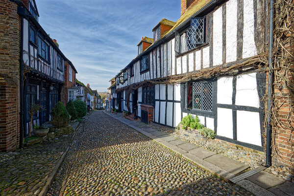 Outdoor cobbled street in Rye East Sussex England UK Picture Board by John Gilham