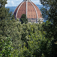 Buy canvas prints of A peek through the trees at the Duomo in Florence Italy by John Gilham