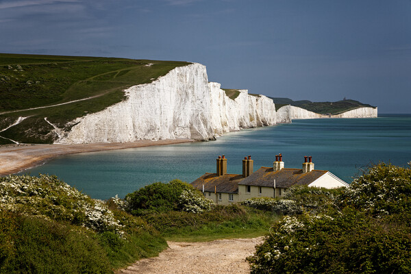 The Seven Sisters cliffs and the Coastguards Cottages at Cuckmere Haven near Eastbourne in East Sussex UK Picture Board by John Gilham