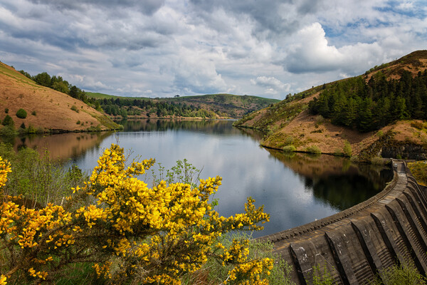 The Clywedog Reservoir near Llanidloes, Wales UK Picture Board by John Gilham