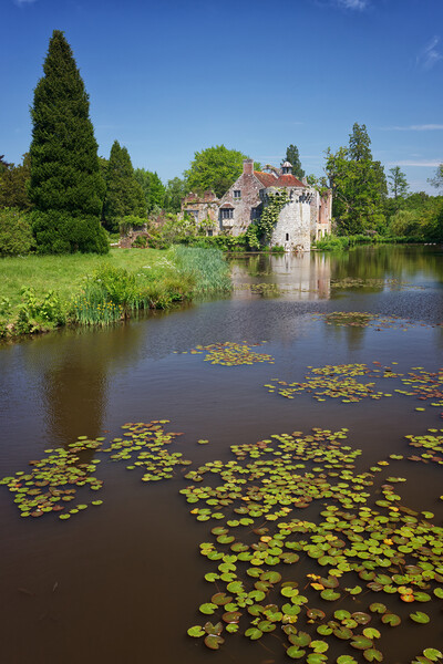 Lily Pads, Moat, Scotney Castle Picture Board by John Gilham