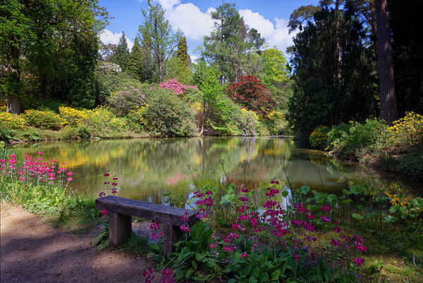 Leonardslee Lakes and Gardens in Horsham Sussex UK Picture Board by John Gilham