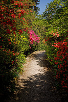 Click to show how this picture will look as a piece of wall art