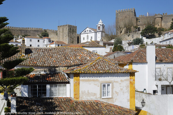 Enchanting Obidos Castle Picture Board by Dudley Wood