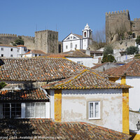 Buy canvas prints of Enchanting Obidos Castle by Dudley Wood