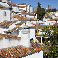 Buy canvas prints of Charming Obidos Town by Dudley Wood
