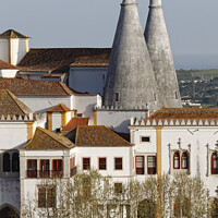 Buy canvas prints of Majestic Twin Towers of Sintra by Dudley Wood