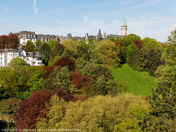 Enchanting Luxembourg in Spring Picture Board by Dudley Wood