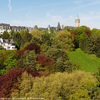 Buy canvas prints of Enchanting Luxembourg in Spring by Dudley Wood