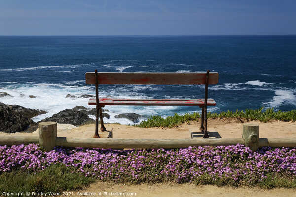 Bench with sea view Picture Board by Dudley Wood