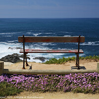 Buy canvas prints of Bench with sea view by Dudley Wood
