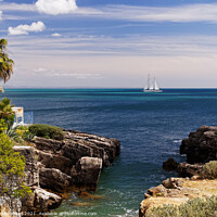 Buy canvas prints of White yacht under sail by Dudley Wood