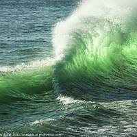 Buy canvas prints of Green translucent wave by Dudley Wood