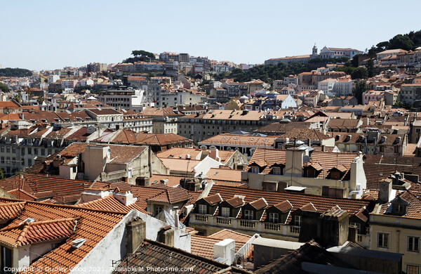 Aweinspiring Lisbon Rooftops Picture Board by Dudley Wood