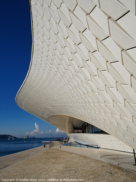 Majestic Curves of MAAT Museum Picture Board by Dudley Wood
