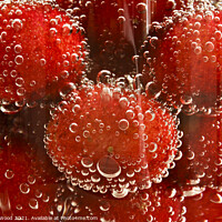 Buy canvas prints of Fizzy Cherry Delight by Dudley Wood