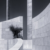 Buy canvas prints of Bold Curves in Modern Monochrome by Dudley Wood