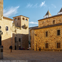 Buy canvas prints of Medieval Marvel in Plaza Santa Maria by Dudley Wood
