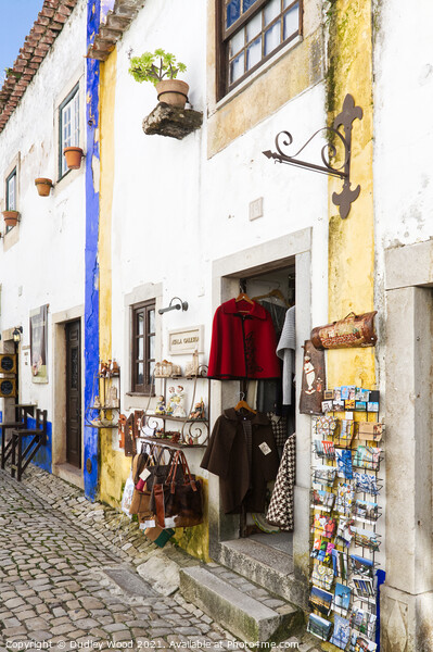 Charming Souvenir Shop in Obidos Picture Board by Dudley Wood