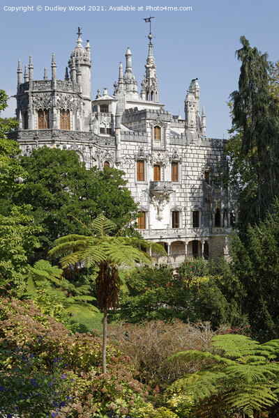 Enchanting Gothic Palace in Portugal Picture Board by Dudley Wood