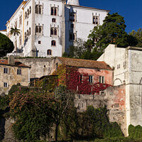 Buy canvas prints of Majestic Palace in Tranquil Sintra by Dudley Wood