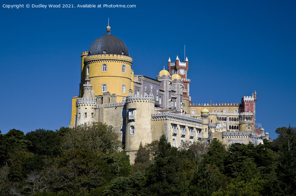 Majestic Pena Palace Picture Board by Dudley Wood