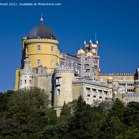 Buy canvas prints of Majestic Pena Palace by Dudley Wood