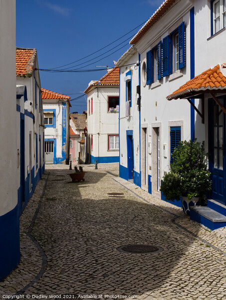 Charming Ericeira Backstreet Picture Board by Dudley Wood