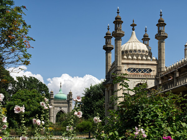 Majestic Royal Pavilion in Brighton Picture Board by Dudley Wood