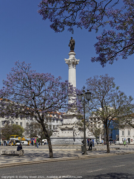 Rossio Lisbon Picture Board by Dudley Wood