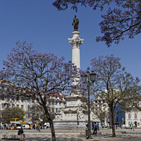 Buy canvas prints of Rossio Lisbon by Dudley Wood