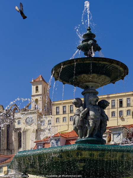Fountain Rossio Lisbon Picture Board by Dudley Wood