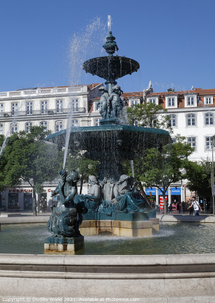 A Serene Oasis in the Heart of Lisbon Picture Board by Dudley Wood