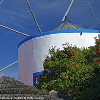 Buy canvas prints of Majestic Windmill in Portugal by Dudley Wood