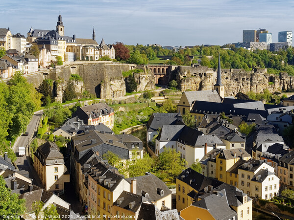 Enchanting Luxembourg A Rooftop View Picture Board by Dudley Wood