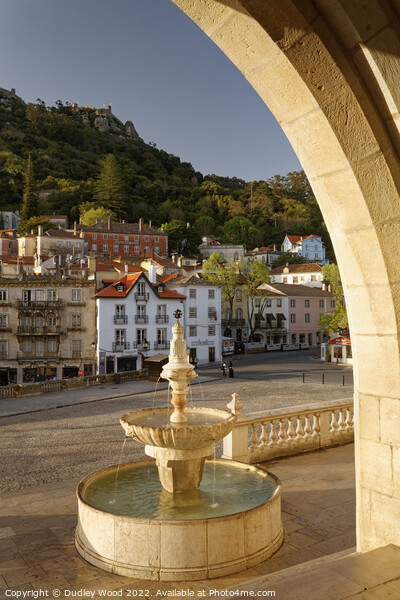 Majestic Fountain at Sintra Palace Picture Board by Dudley Wood