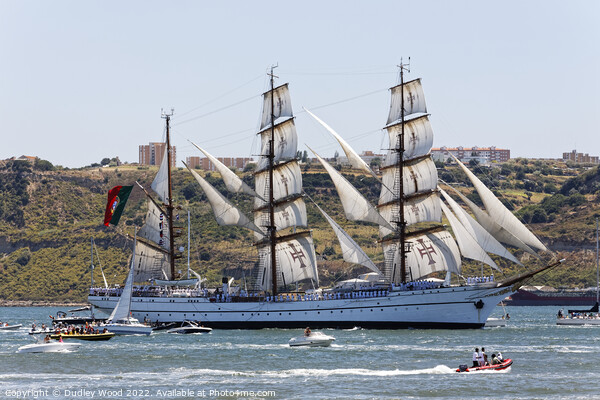 Majestic Sagres Sailing with Wind Power on the Tag Picture Board by Dudley Wood