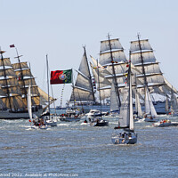 Buy canvas prints of Majestic Tall Ships on the River Tagus by Dudley Wood