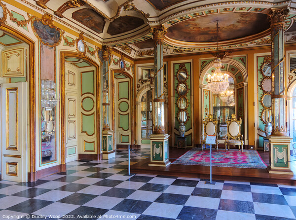 Queluz Palace Picture Board by Dudley Wood