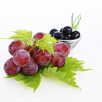 Buy canvas prints of Juicy and Minimal Grapes and Olives by Dudley Wood