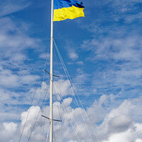 Buy canvas prints of Proudly Soaring Ukrainian Flag by Dudley Wood